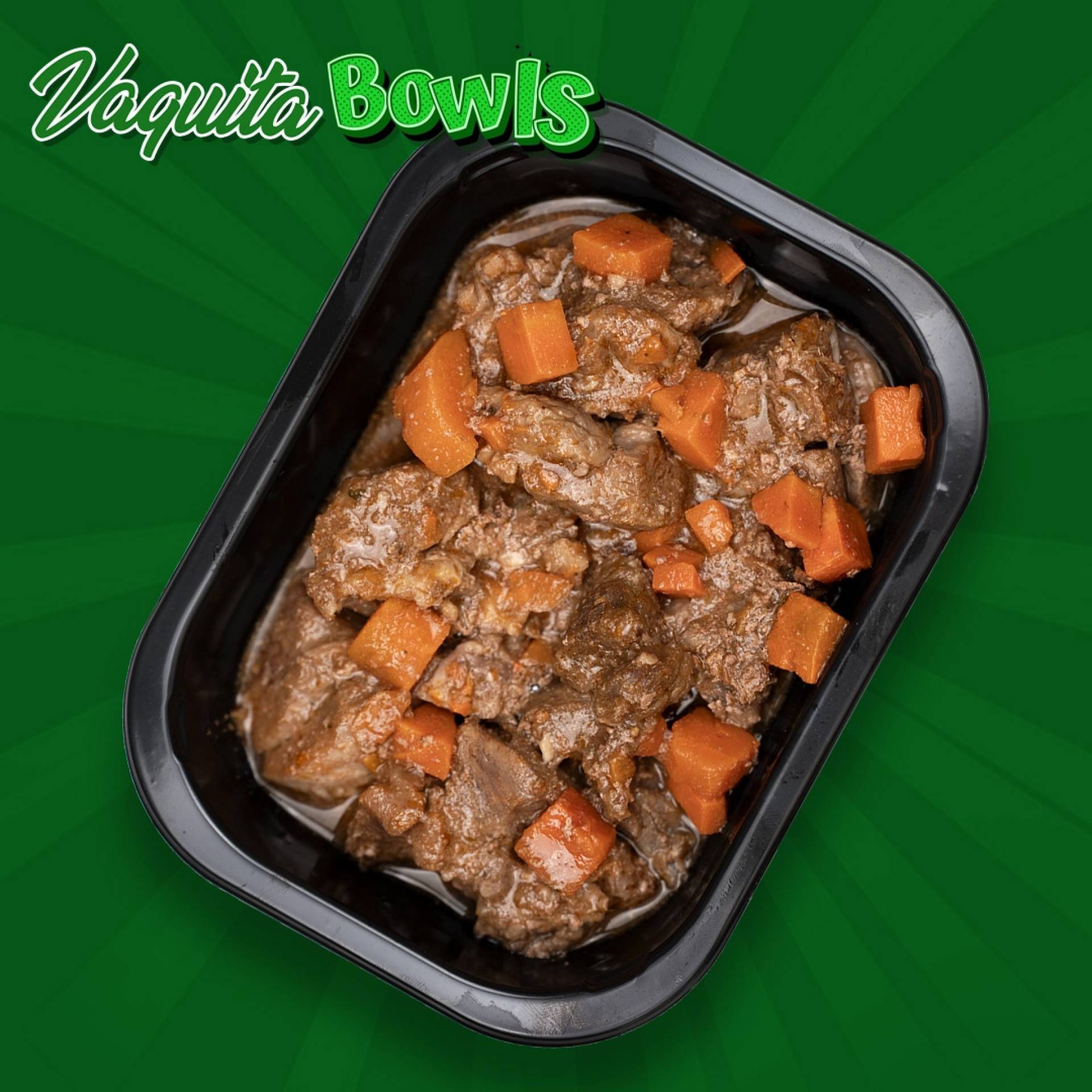 V3 Carne de Res Guisada